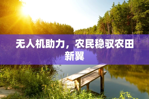 无人机助力，农民稳驭农田新翼