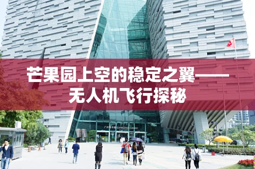 芒果园上空的稳定之翼——无人机飞行探秘