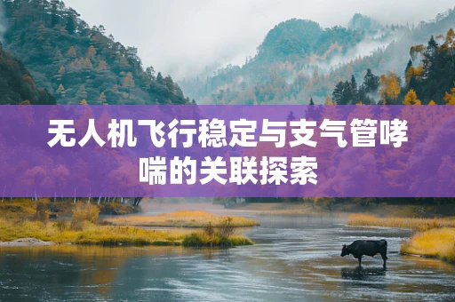 无人机飞行稳定与支气管哮喘的关联探索