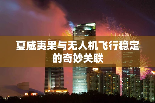 夏威夷果与无人机飞行稳定的奇妙关联