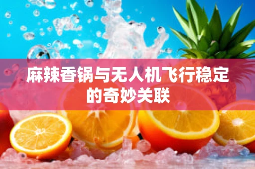 麻辣香锅与无人机飞行稳定的奇妙关联