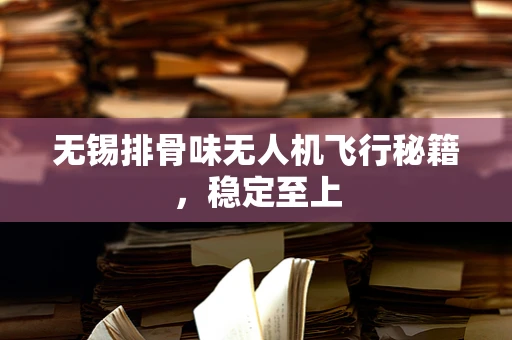 无锡排骨味无人机飞行秘籍，稳定至上