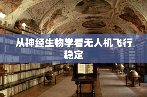 从神经生物学看无人机飞行稳定