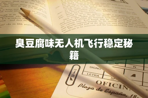 臭豆腐味无人机飞行稳定秘籍