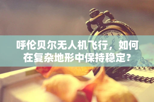 呼伦贝尔无人机飞行，如何在复杂地形中保持稳定？