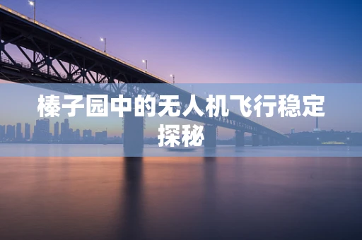 榛子园中的无人机飞行稳定探秘