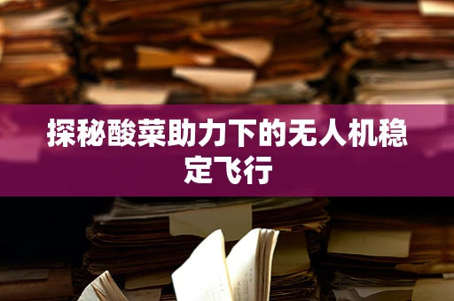 探秘酸菜助力下的无人机稳定飞行