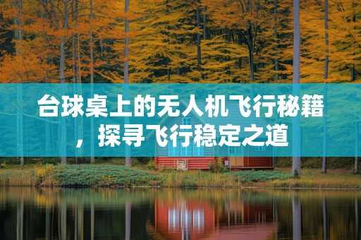 台球桌上的无人机飞行秘籍，探寻飞行稳定之道