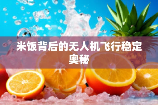 米饭背后的无人机飞行稳定奥秘