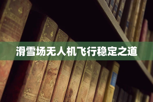 滑雪场无人机飞行稳定之道