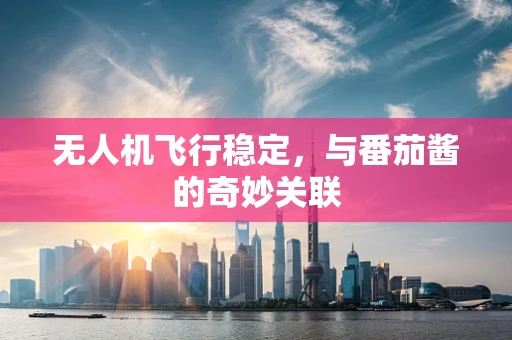无人机飞行稳定，与番茄酱的奇妙关联