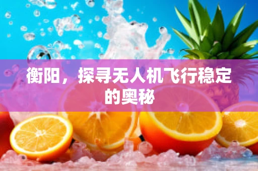 衡阳，探寻无人机飞行稳定的奥秘