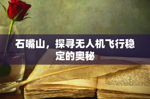 石嘴山，探寻无人机飞行稳定的奥秘