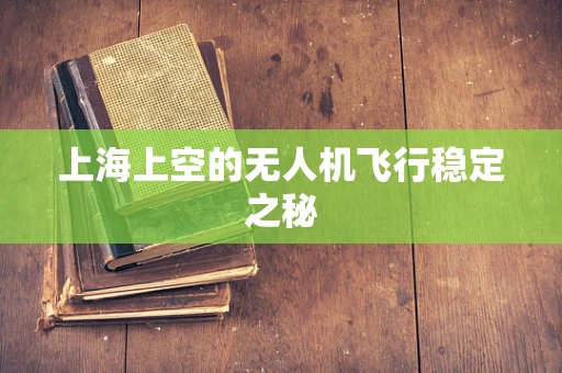 上海上空的无人机飞行稳定之秘