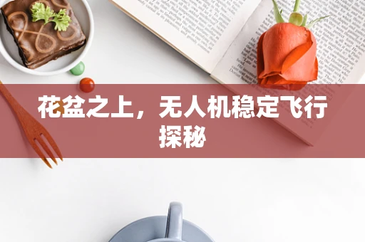 花盆之上，无人机稳定飞行探秘