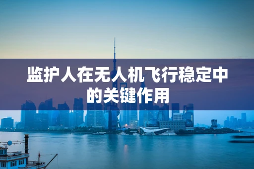 监护人在无人机飞行稳定中的关键作用