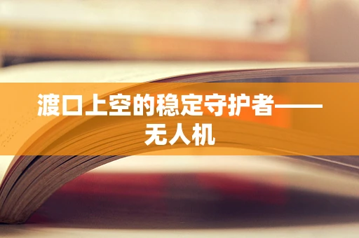渡口上空的稳定守护者——无人机