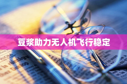 豆浆助力无人机飞行稳定