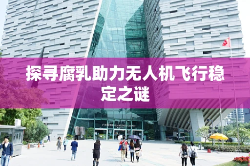 探寻腐乳助力无人机飞行稳定之谜