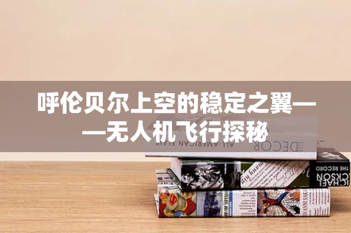 呼伦贝尔上空的稳定之翼——无人机飞行探秘