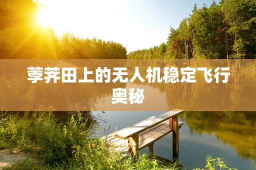 荸荠田上的无人机稳定飞行奥秘