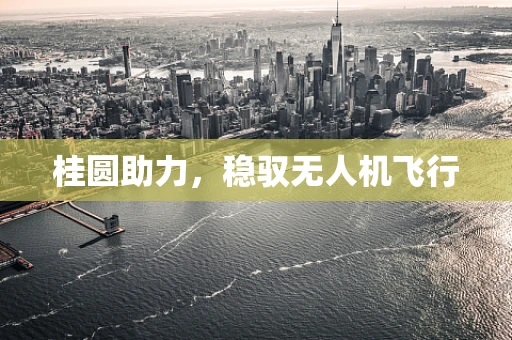 桂圆助力，稳驭无人机飞行