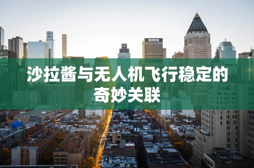 沙拉酱与无人机飞行稳定的奇妙关联
