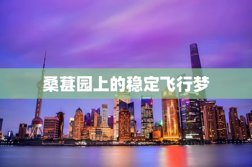 桑葚园上的稳定飞行梦