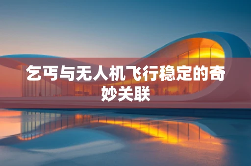 乞丐与无人机飞行稳定的奇妙关联
