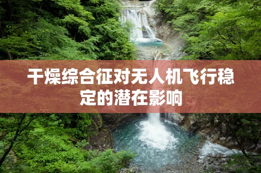 干燥综合征对无人机飞行稳定的潜在影响
