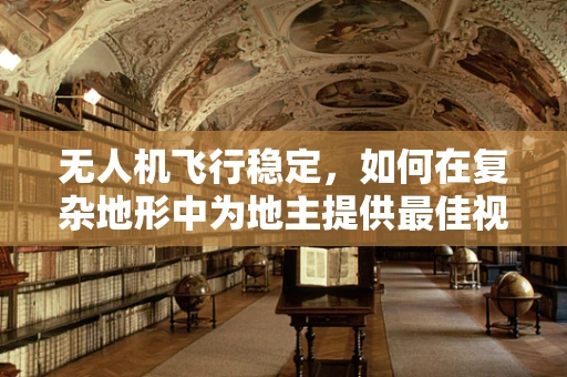 无人机飞行稳定，如何在复杂地形中为地主提供最佳视角？