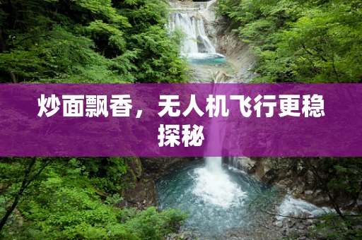 炒面飘香，无人机飞行更稳探秘