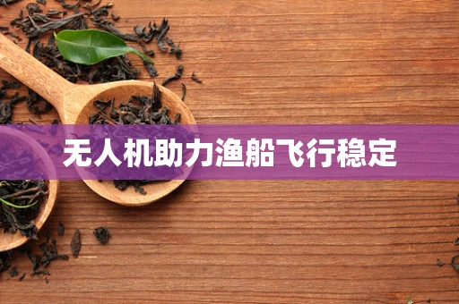 无人机助力渔船飞行稳定