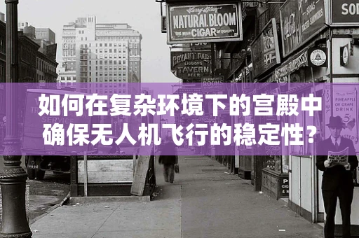 如何在复杂环境下的宫殿中确保无人机飞行的稳定性？