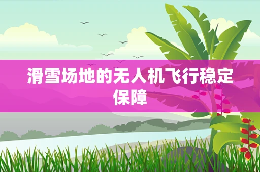 滑雪场地的无人机飞行稳定保障