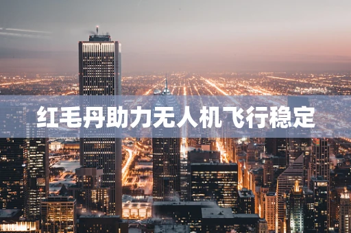 红毛丹助力无人机飞行稳定