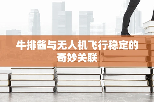 牛排酱与无人机飞行稳定的奇妙关联