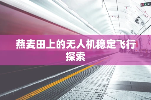 燕麦田上的无人机稳定飞行探索