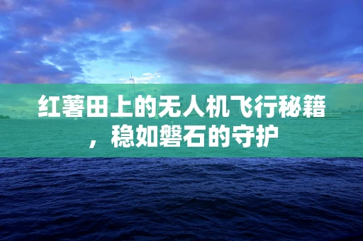 红薯田上的无人机飞行秘籍，稳如磐石的守护