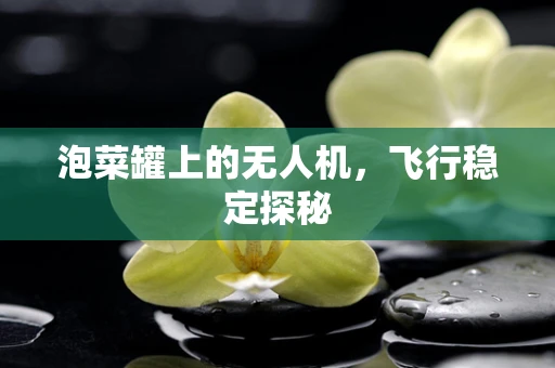 泡菜罐上的无人机，飞行稳定探秘