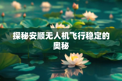 探秘安顺无人机飞行稳定的奥秘