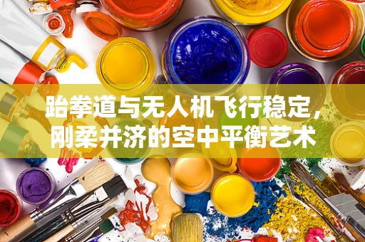 跆拳道与无人机飞行稳定，刚柔并济的空中平衡艺术