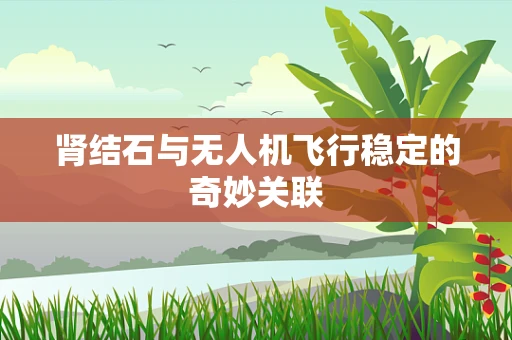 肾结石与无人机飞行稳定的奇妙关联