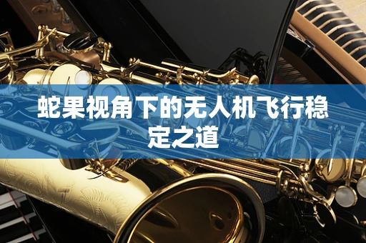 蛇果视角下的无人机飞行稳定之道