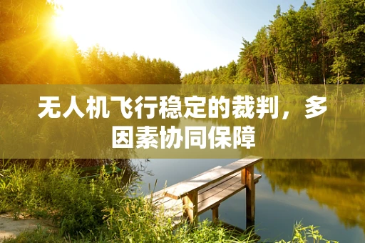 无人机飞行稳定的裁判，多因素协同保障