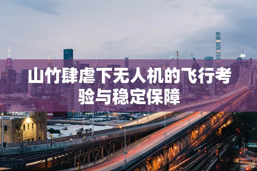 山竹肆虐下无人机的飞行考验与稳定保障