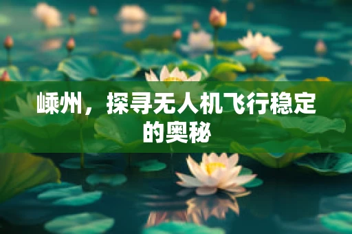 嵊州，探寻无人机飞行稳定的奥秘