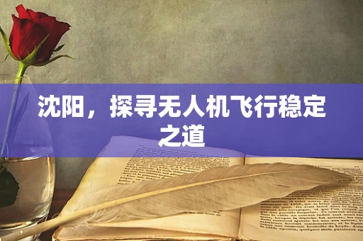 沈阳，探寻无人机飞行稳定之道