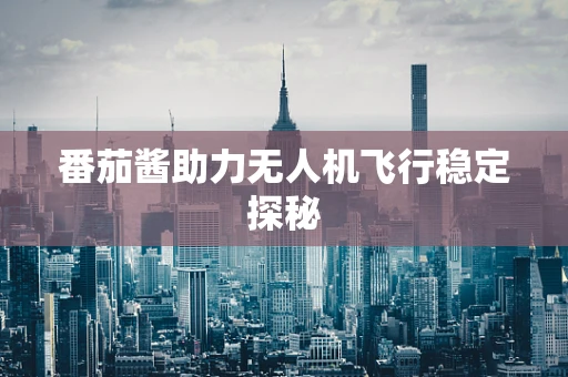 番茄酱助力无人机飞行稳定探秘