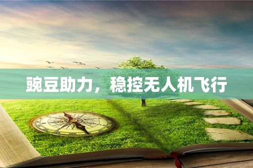 豌豆助力，稳控无人机飞行